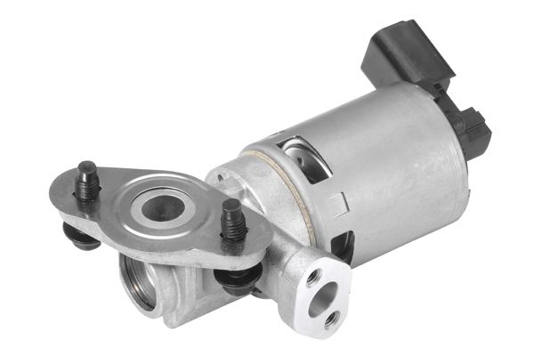 BorgWarner (Wahler) 710629D EGR Valve