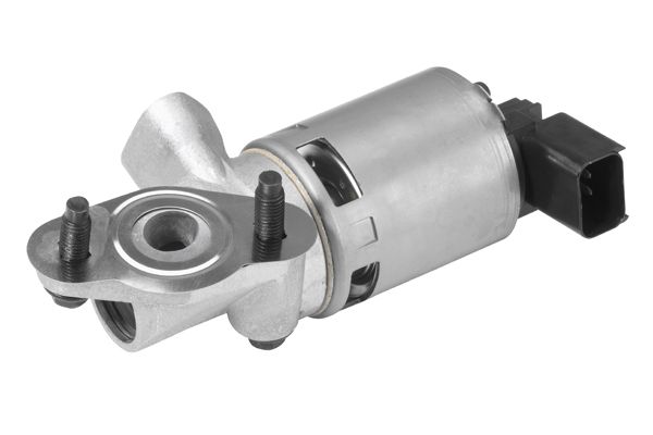 BorgWarner (Wahler) 710631D EGR Valve