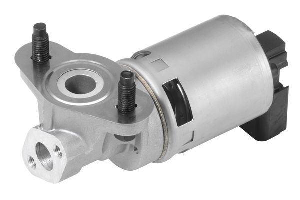 BorgWarner (Wahler) 710633D EGR Valve