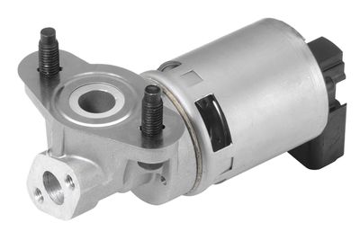 EGR Valve BorgWarner (Wahler) 710633D