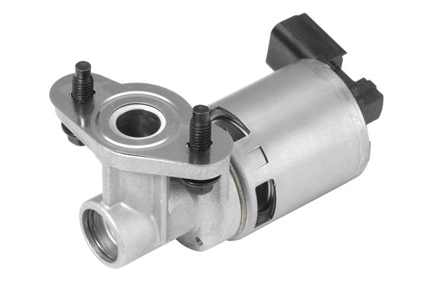 BorgWarner (Wahler) 710634D EGR Valve