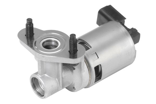 BorgWarner (Wahler) 710635D EGR Valve
