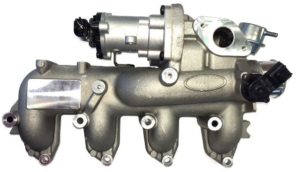 BorgWarner (Wahler) 710661D0 EGR Valve