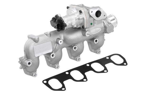 BorgWarner (Wahler) 710665D EGR Valve
