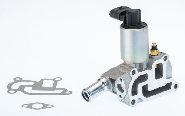 BorgWarner (Wahler) 710714D EGR Valve