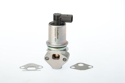 EGR Valve BorgWarner (Wahler) 710721D