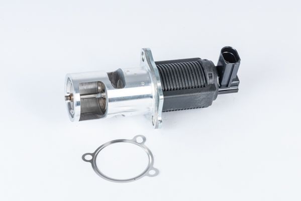 BorgWarner (Wahler) 710723D EGR Valve