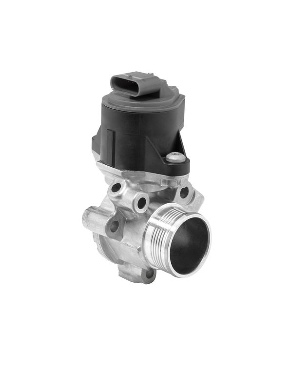 BorgWarner (Wahler) 710753D EGR Valve