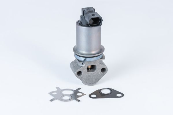 BorgWarner (Wahler) 710771D0 EGR Valve