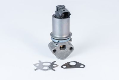 EGR Valve BorgWarner (Wahler) 710771D0