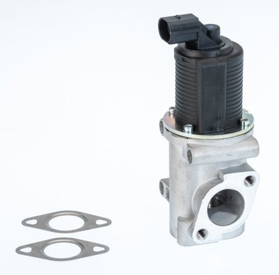 BorgWarner (Wahler) 710772D/1 EGR Valve