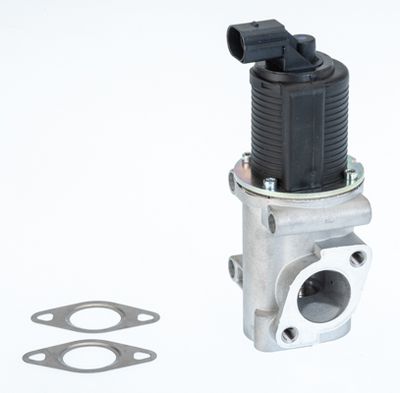EGR Valve BorgWarner (Wahler) 710772D/1