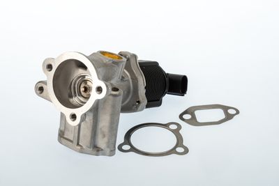 EGR Valve BorgWarner (Wahler) 710773D/1