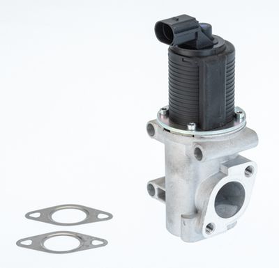 EGR Valve BorgWarner (Wahler) 710774D/1
