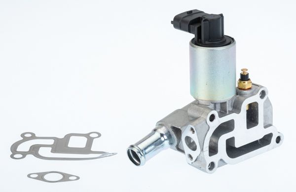 BorgWarner (Wahler) 710775D EGR Valve