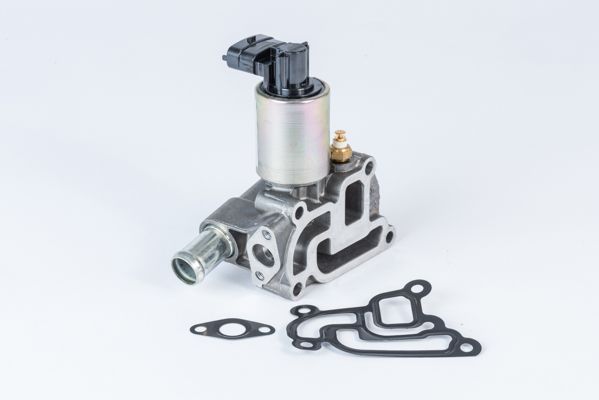 BorgWarner (Wahler) 710775D0 EGR Valve