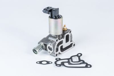 EGR Valve BorgWarner (Wahler) 710775D0