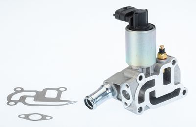 EGR Valve BorgWarner (Wahler) 710775D