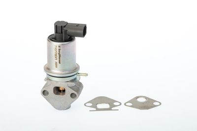 EGR Valve BorgWarner (Wahler) 710778D