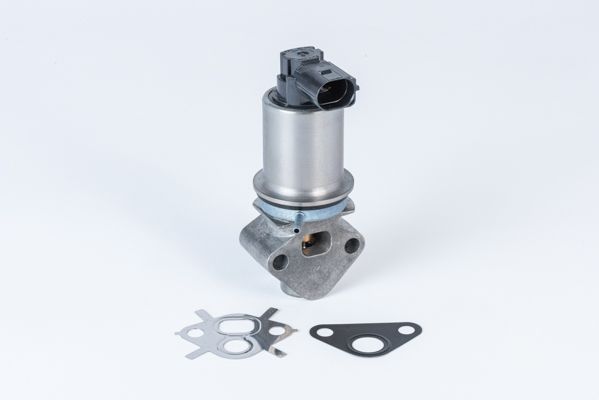 BorgWarner (Wahler) 710780D0 EGR Valve