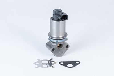 EGR Valve BorgWarner (Wahler) 710780D0