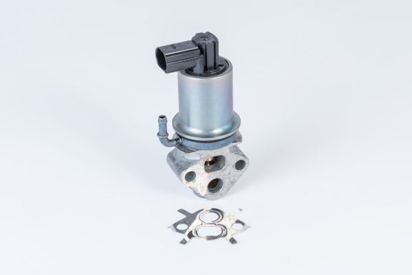BorgWarner (Wahler) 710788D0 EGR Valve