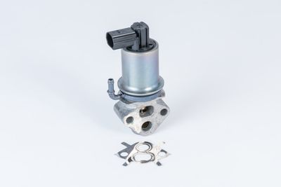 EGR Valve BorgWarner (Wahler) 710788D0