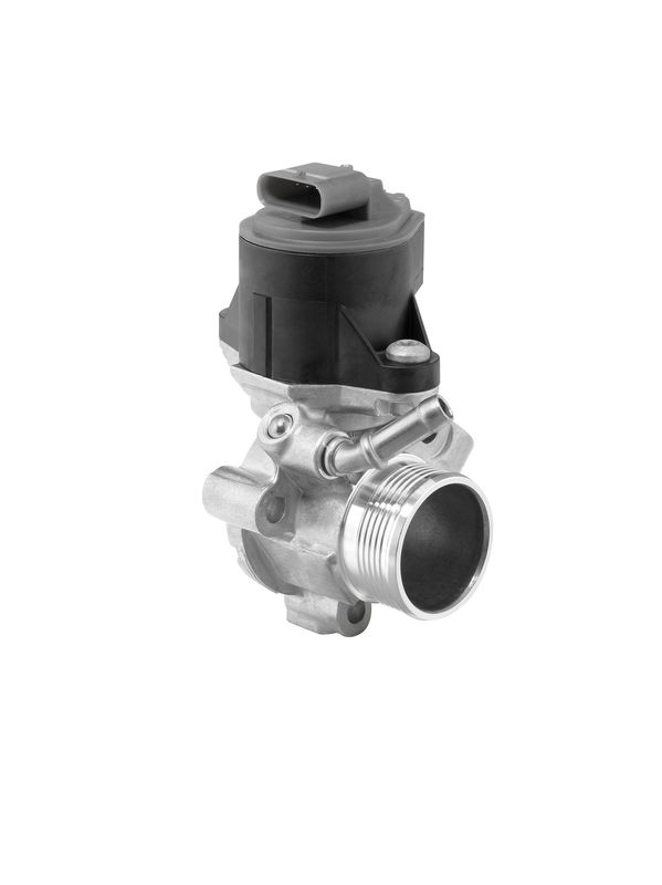 BorgWarner (Wahler) 710795D EGR Valve
