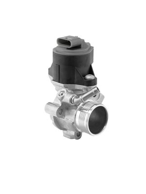 EGR Valve BorgWarner (Wahler) 710795D