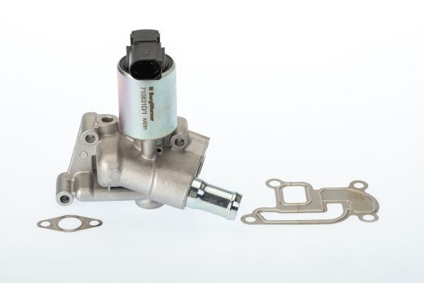 BorgWarner (Wahler) 710831D EGR Valve