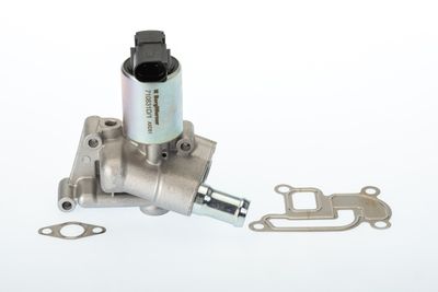 EGR Valve BorgWarner (Wahler) 710831D
