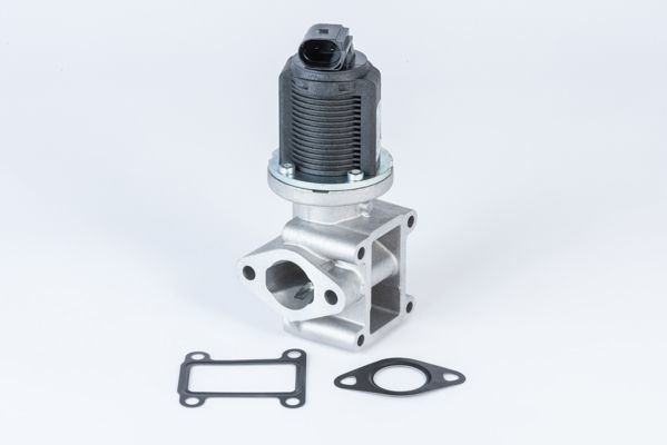 BorgWarner (Wahler) 710837D EGR Valve