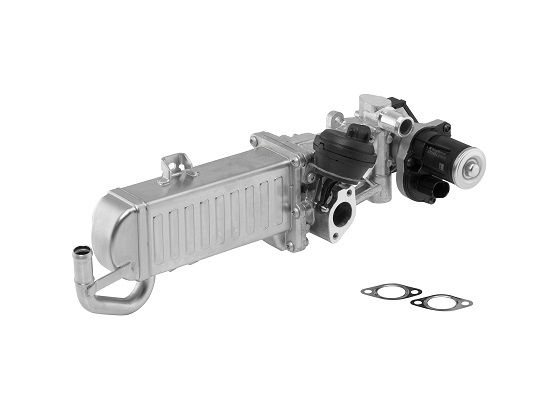 BorgWarner (Wahler) 710861D EGR Module