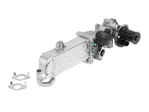 BorgWarner (Wahler) 710861R EGR Module