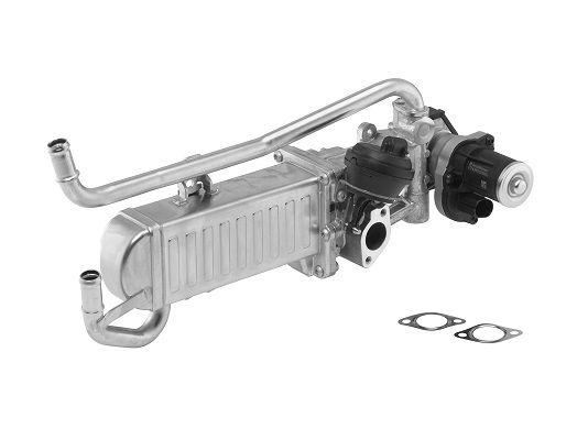 BorgWarner (Wahler) 710862D EGR Module