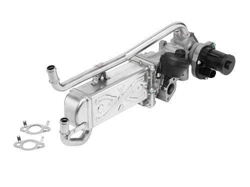 BorgWarner (Wahler) 710862R EGR Module