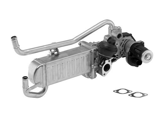 BorgWarner (Wahler) 710863D EGR Module