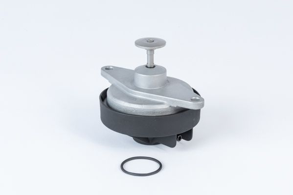 BorgWarner (Wahler) 710920R EGR Valve