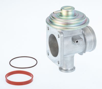 EGR Valve BorgWarner (Wahler) 710921D/1