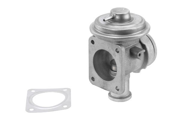 BorgWarner (Wahler) 710921R EGR Valve