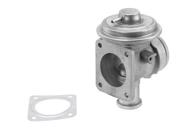EGR Valve BorgWarner (Wahler) 710921R