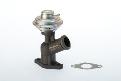 EGR Valve BorgWarner (Wahler) 710922D/1