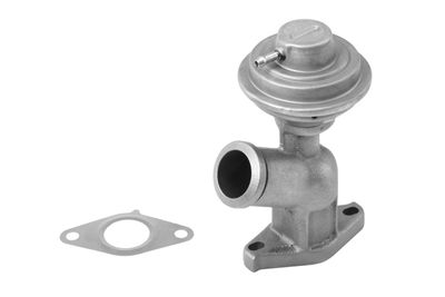 EGR Valve BorgWarner (Wahler) 710922R