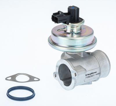 EGR Valve BorgWarner (Wahler) 710923D/1