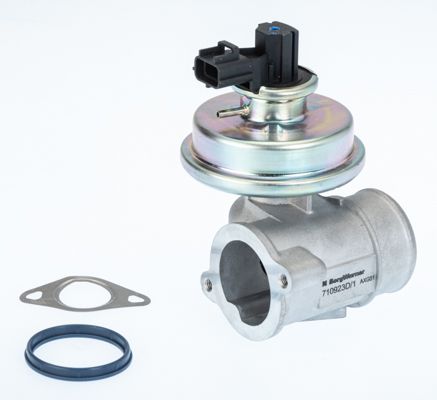 BorgWarner (Wahler) 710923D EGR Valve