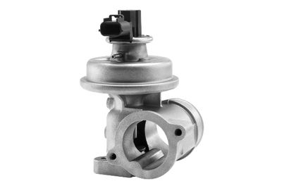 EGR Valve BorgWarner (Wahler) 710923R