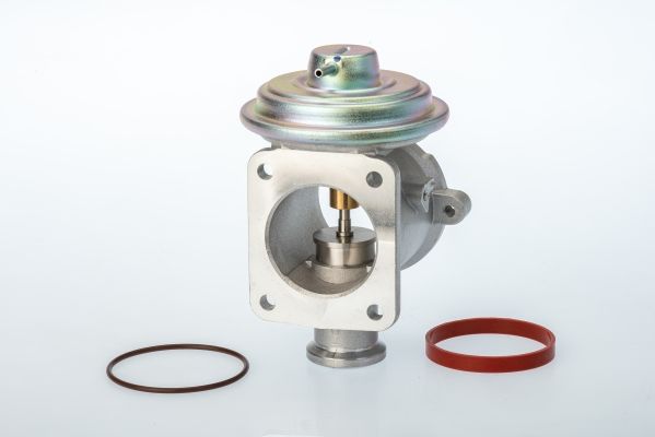 BorgWarner (Wahler) 710924D/1 EGR Valve