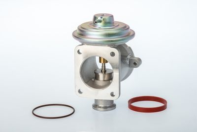 EGR Valve BorgWarner (Wahler) 710924D/1