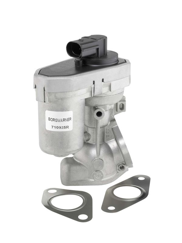 BorgWarner (Wahler) 710925R EGR Valve