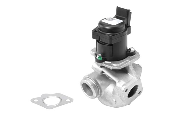 BorgWarner (Wahler) 710927R EGR Valve